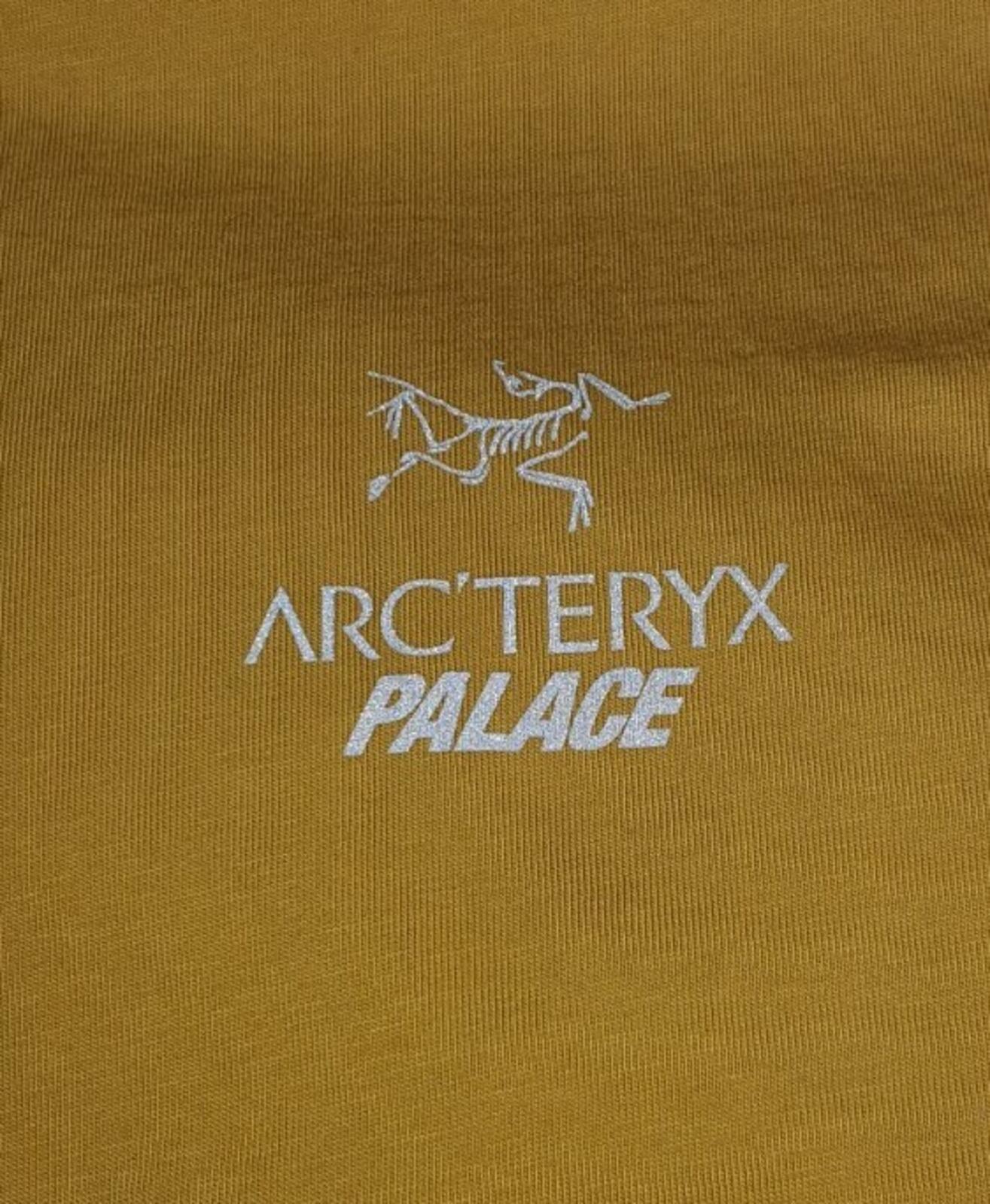 FW20 Palace x Arc'teryx tee size S small gold T-shirt reflective triferg yellow