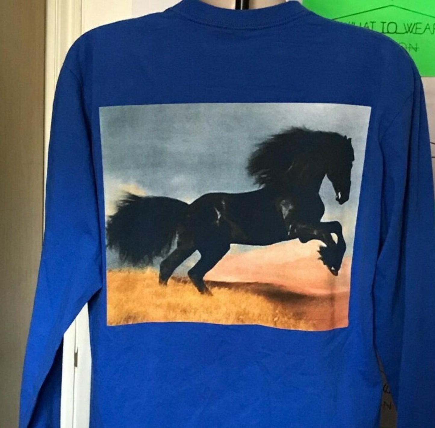 FW14 Supreme Stalion Langarm-T-Shirt Blau Größe XL