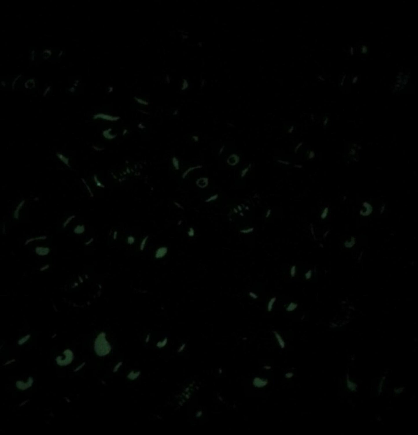 SS18 Supreme Skull Pile green bandana Glow in the dark scarf Accessory