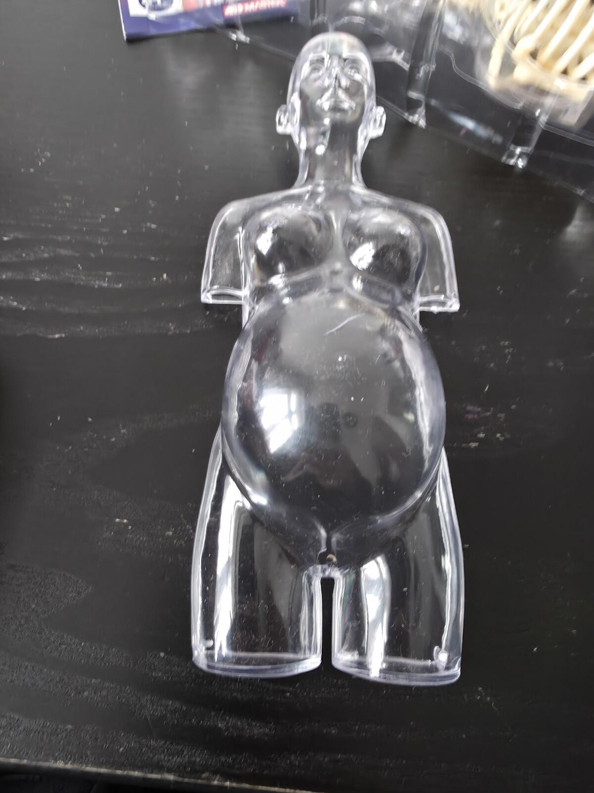 FW18 Supreme Female Anatomy Model Accessory