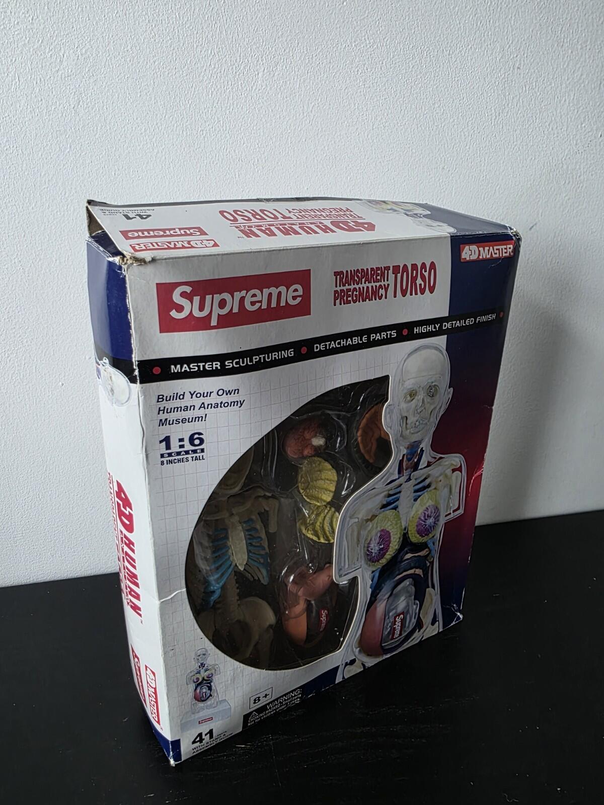 FW18 Supreme Female Anatomy Model Accessory