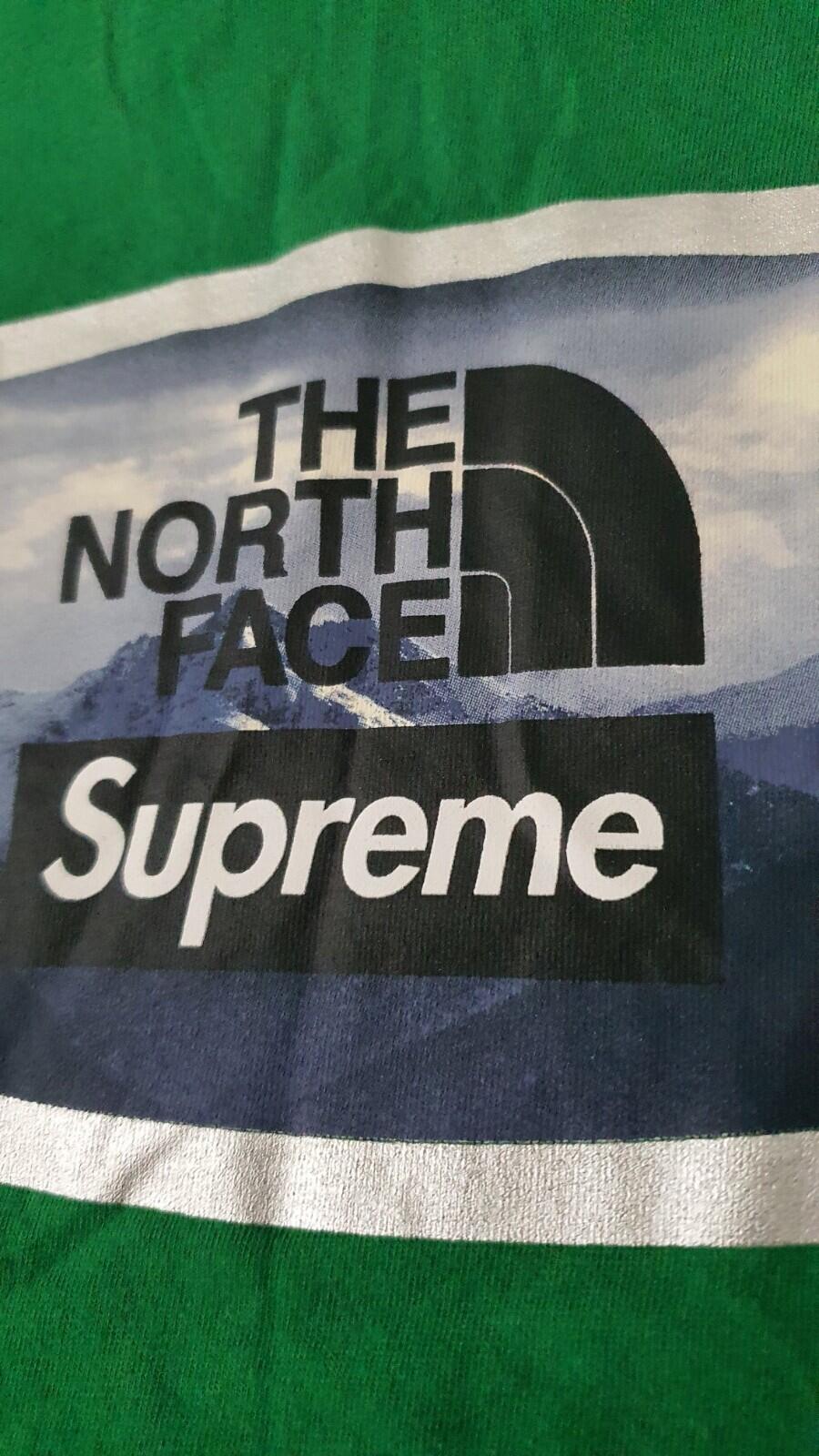 FW21 Supreme x The North Face Mountains tee green t-shirt TNF