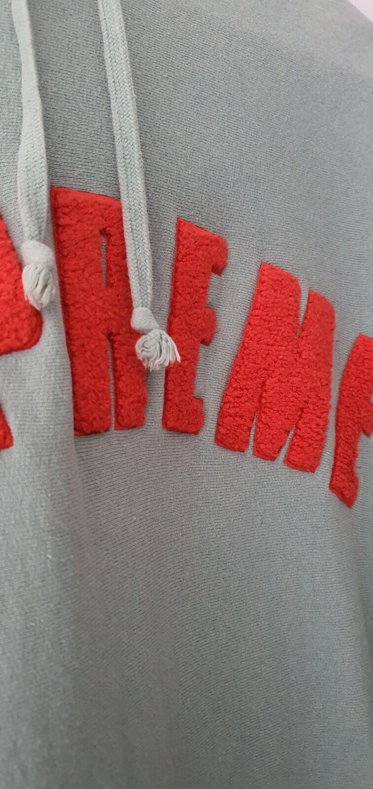 SS17 Supreme Chenille Arc Logo Hooded Sweatshirt Size M Medium Seafoam hoodie