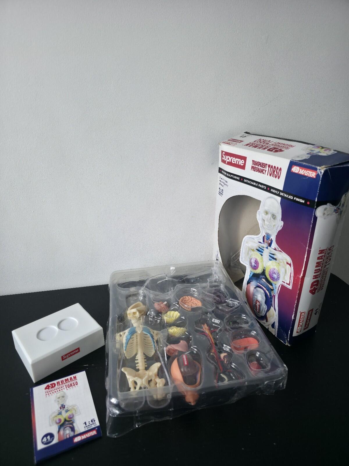 FW18 Supreme Female Anatomy Model Accessory