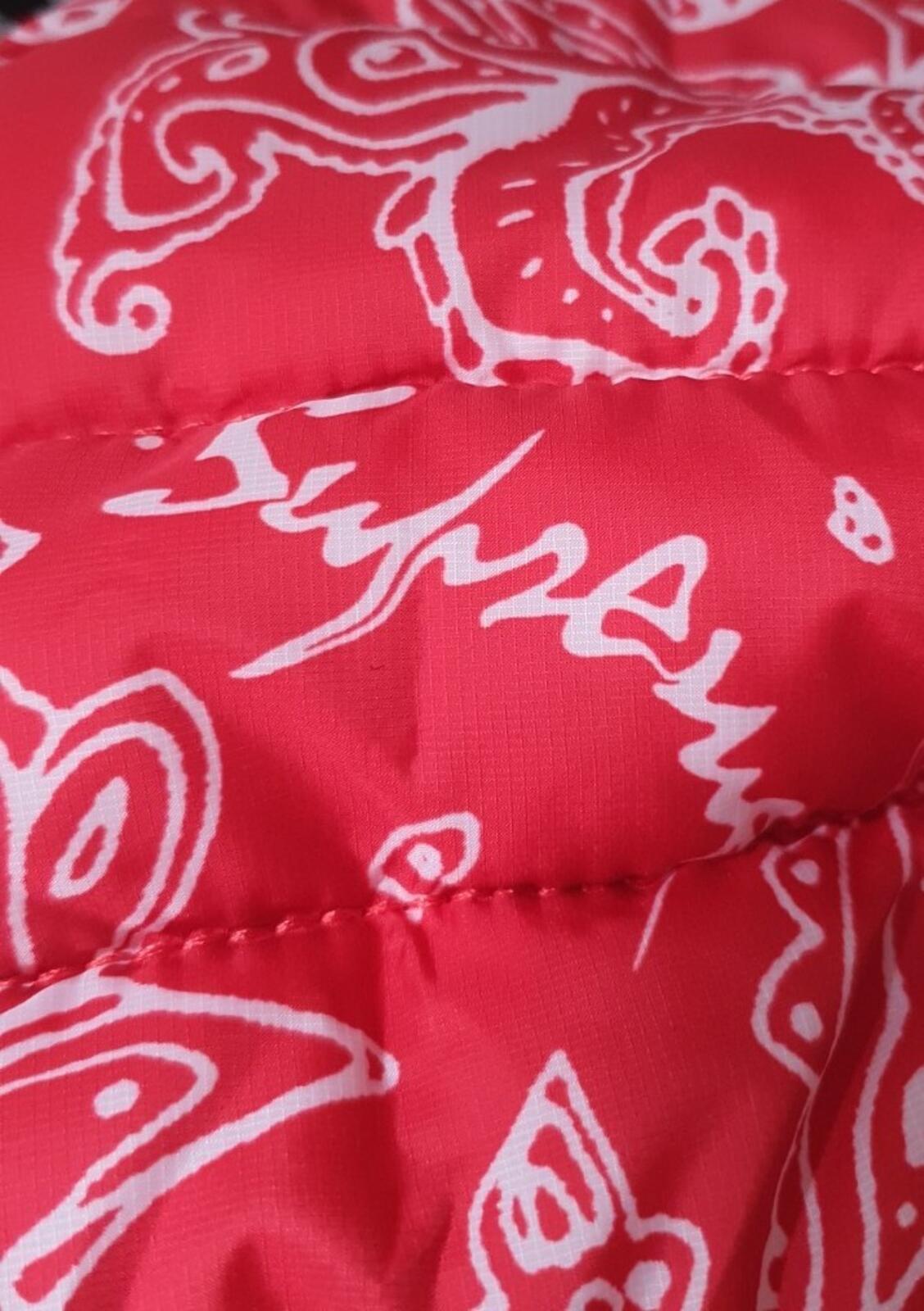 HW22 Supreme Puffer Rucksack rote Paisley-Tasche Wasserabweisend