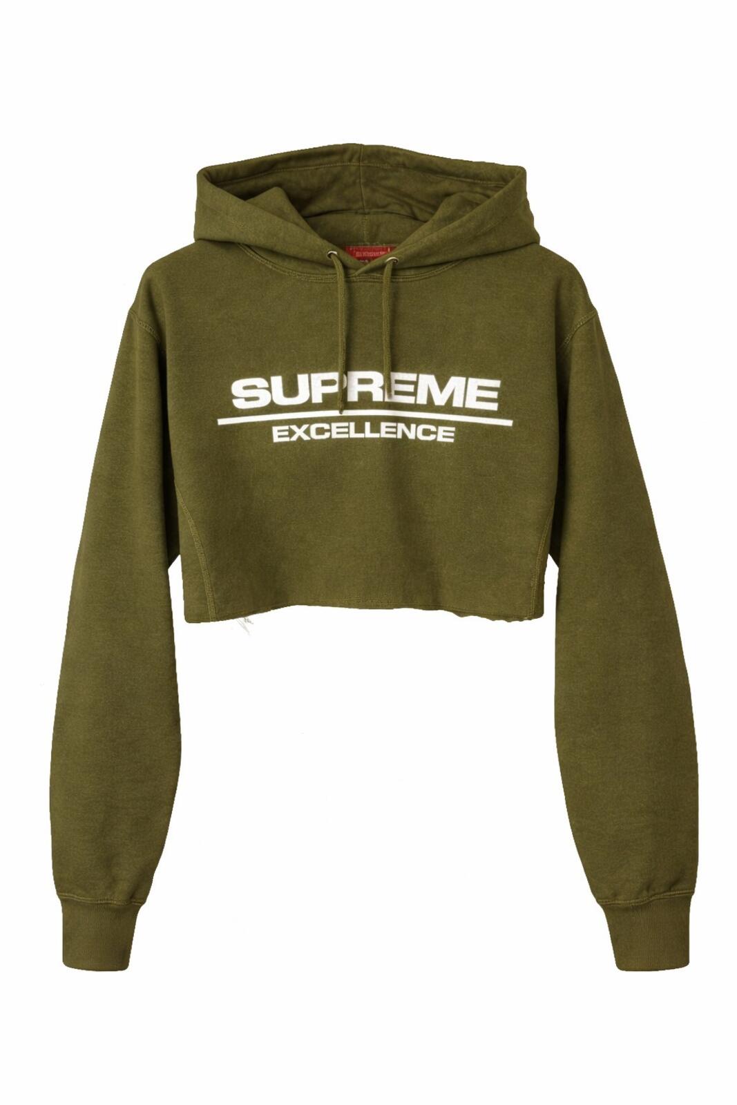 FW17 Supreme Reflective Excellence Hooded Sweatshirt Olive Size M CROPPED
