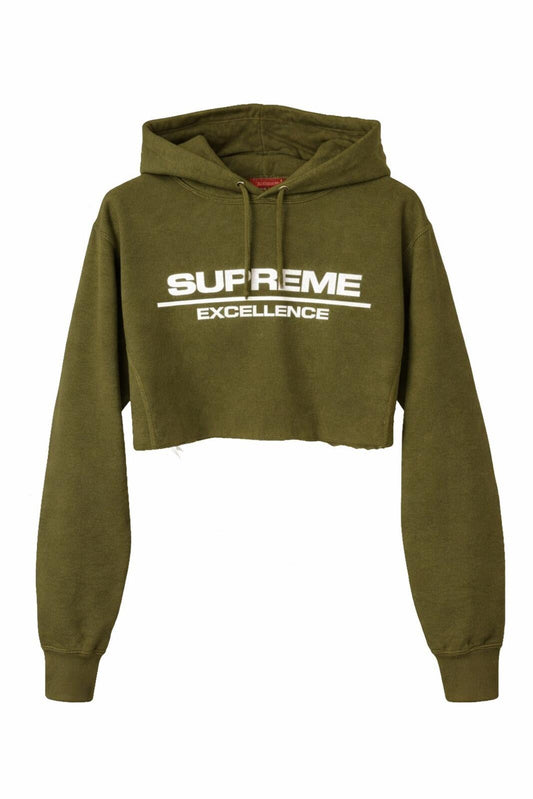 Sudadera con capucha Supreme Reflective Excellence FW17 Talla M, OLIVA, CORTADA