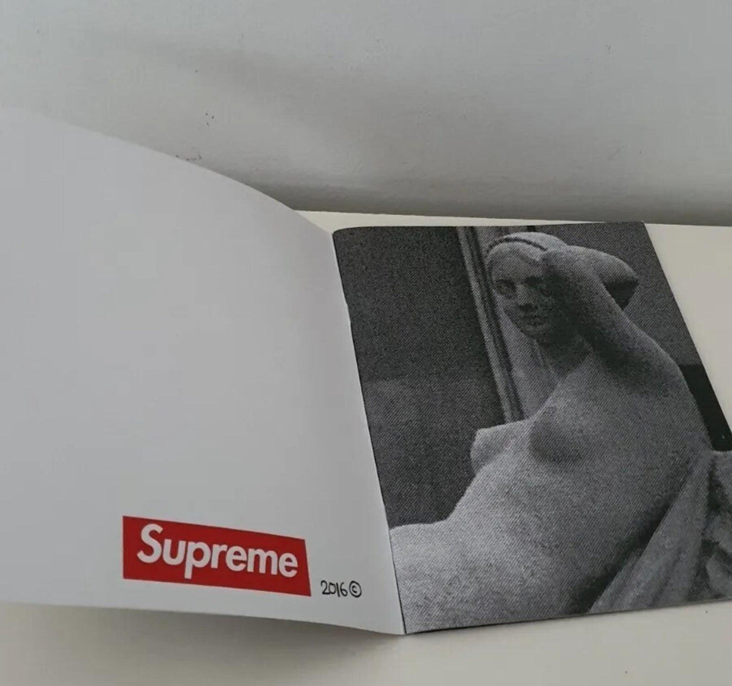 SS16 Supreme Paris Store Opening Zine Lookbook Wiliam Strobeck