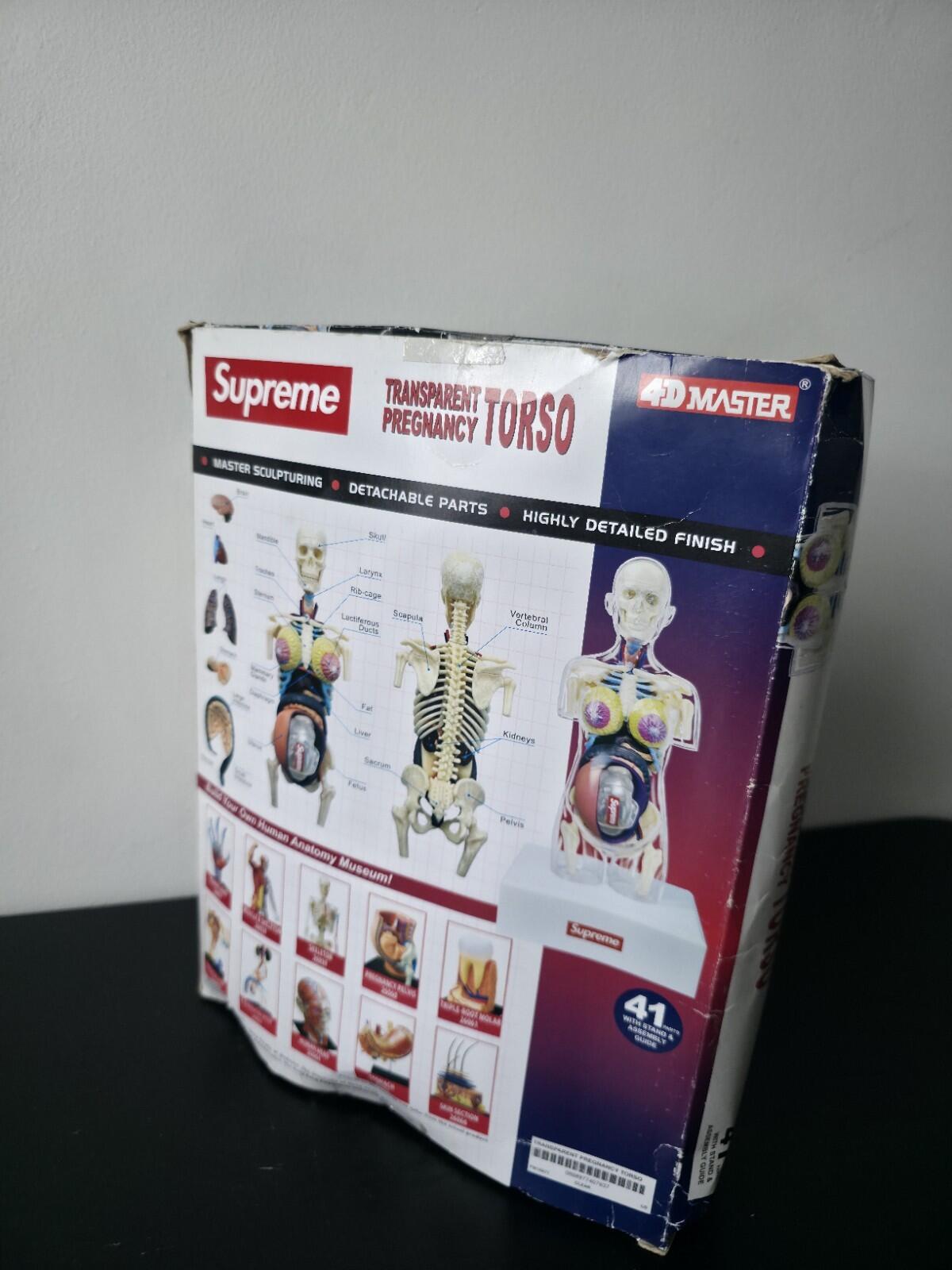 FW18 Supreme Female Anatomy Model Accessory