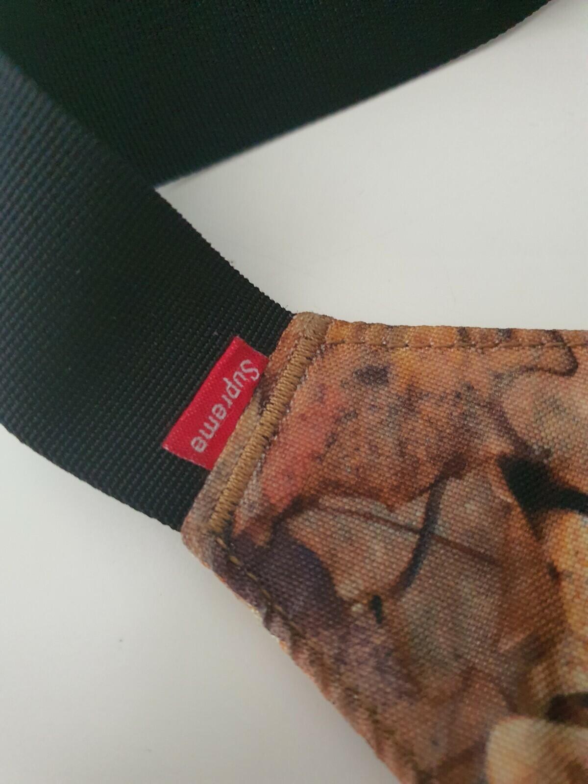 FW16 Supreme x The North Face Roo II lumbar pack waist shoulder bag leaves
