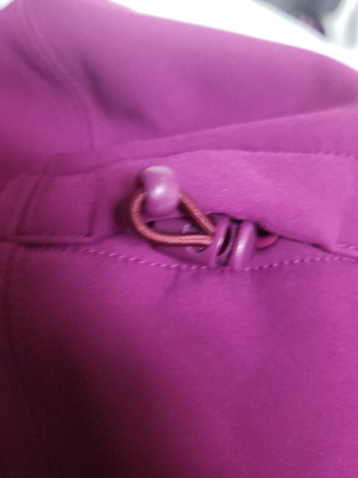 FW21 Supreme GORE WINDSTOPPER Hooded Sweatshirt Plum Size S Water Resistant