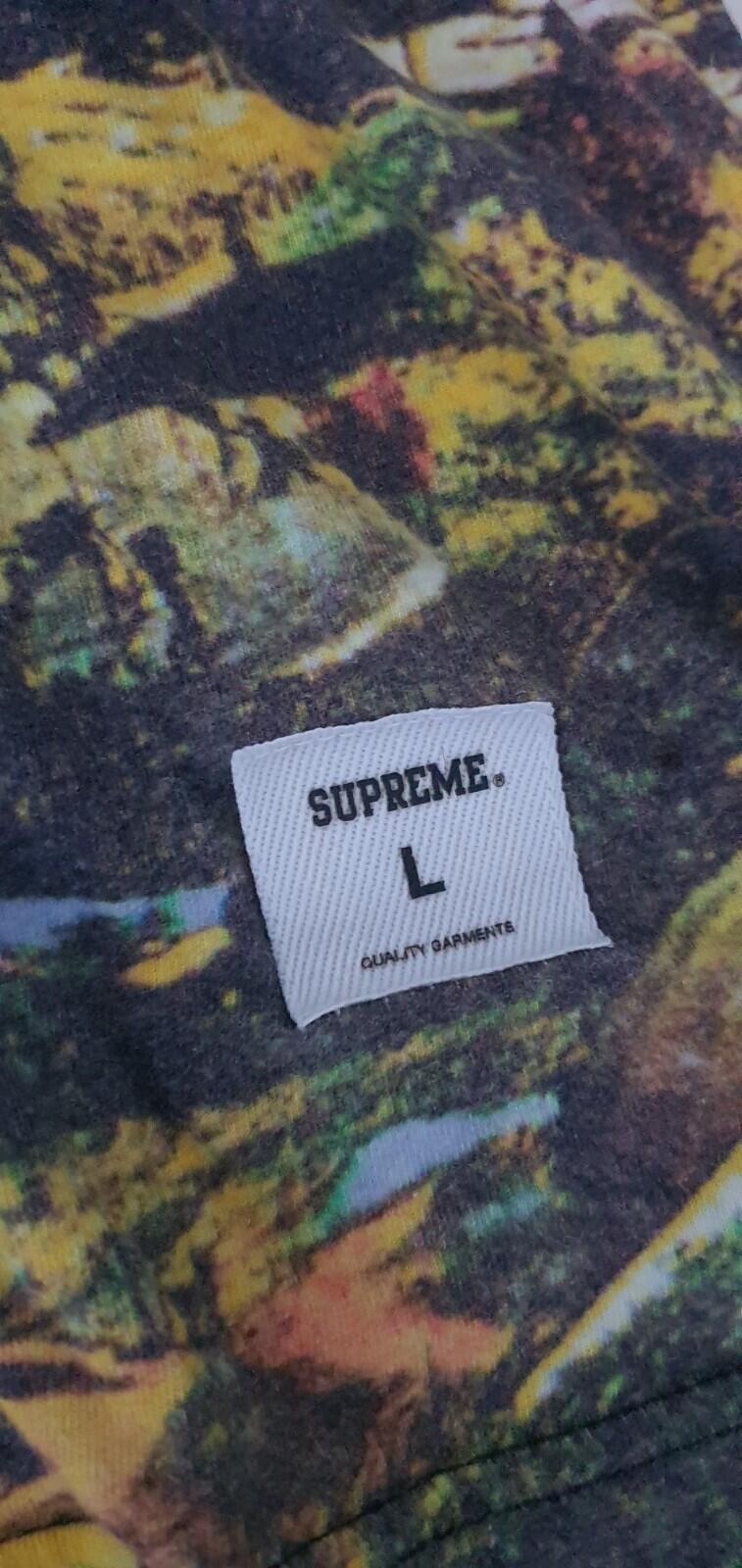 SS13 Supreme Kingston Tee T-shirt Size L