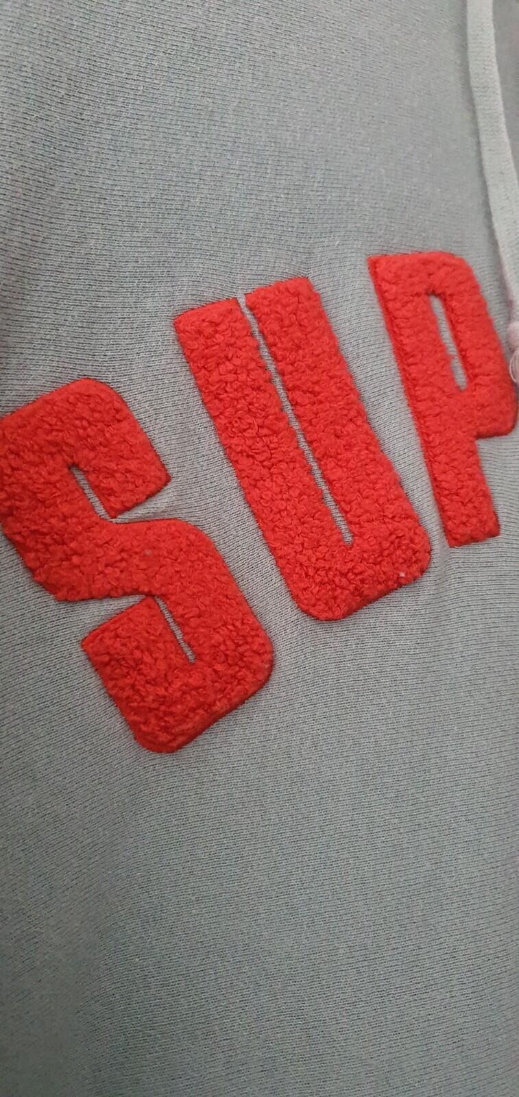 SS17 Supreme Chenille Arc Logo Hooded Sweatshirt Size M Medium Seafoam hoodie