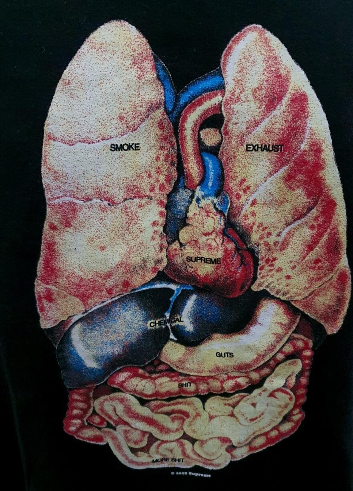 FW18 Supreme Guts black Tee t-shirt size L large anatomy organs