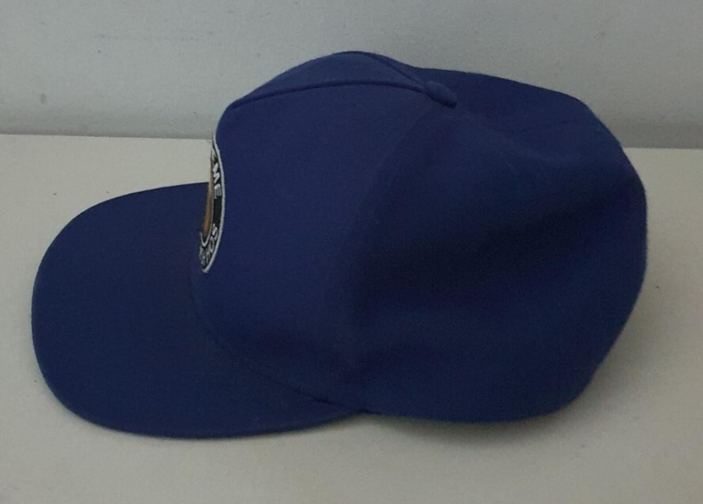 FW13 Supreme Money Cash Hoes Starter 5-panel blue hat cap
