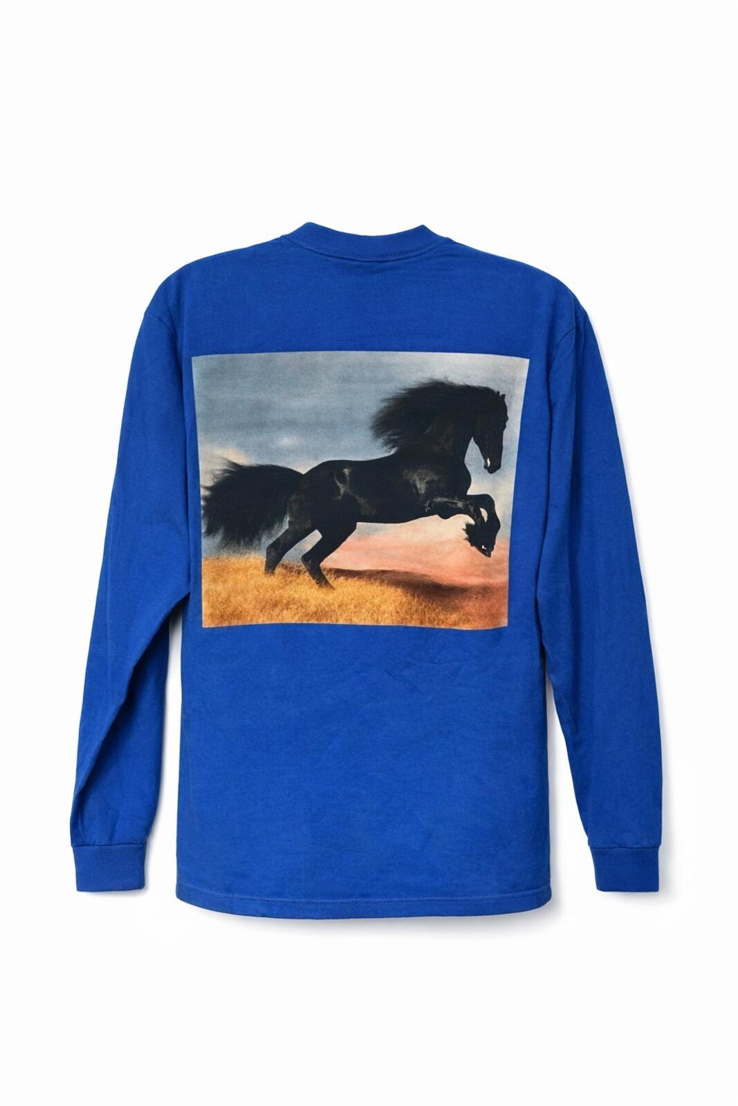FW14 Supreme Stalion Langarm-T-Shirt Blau Größe XL