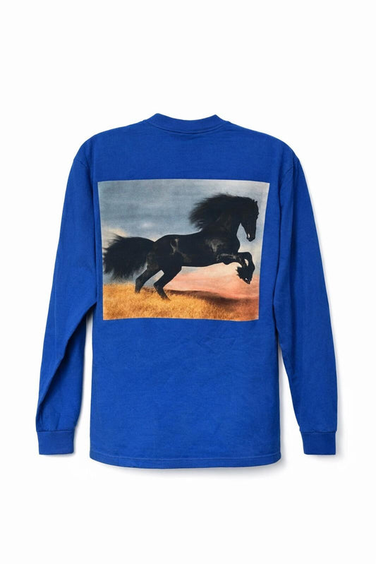 Camiseta de manga larga Supreme Stallion FW14 azul talla XL