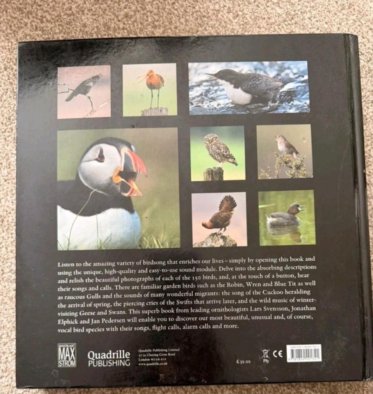 Birdsong: 150 British and Irish birds and their amazing sounds Book