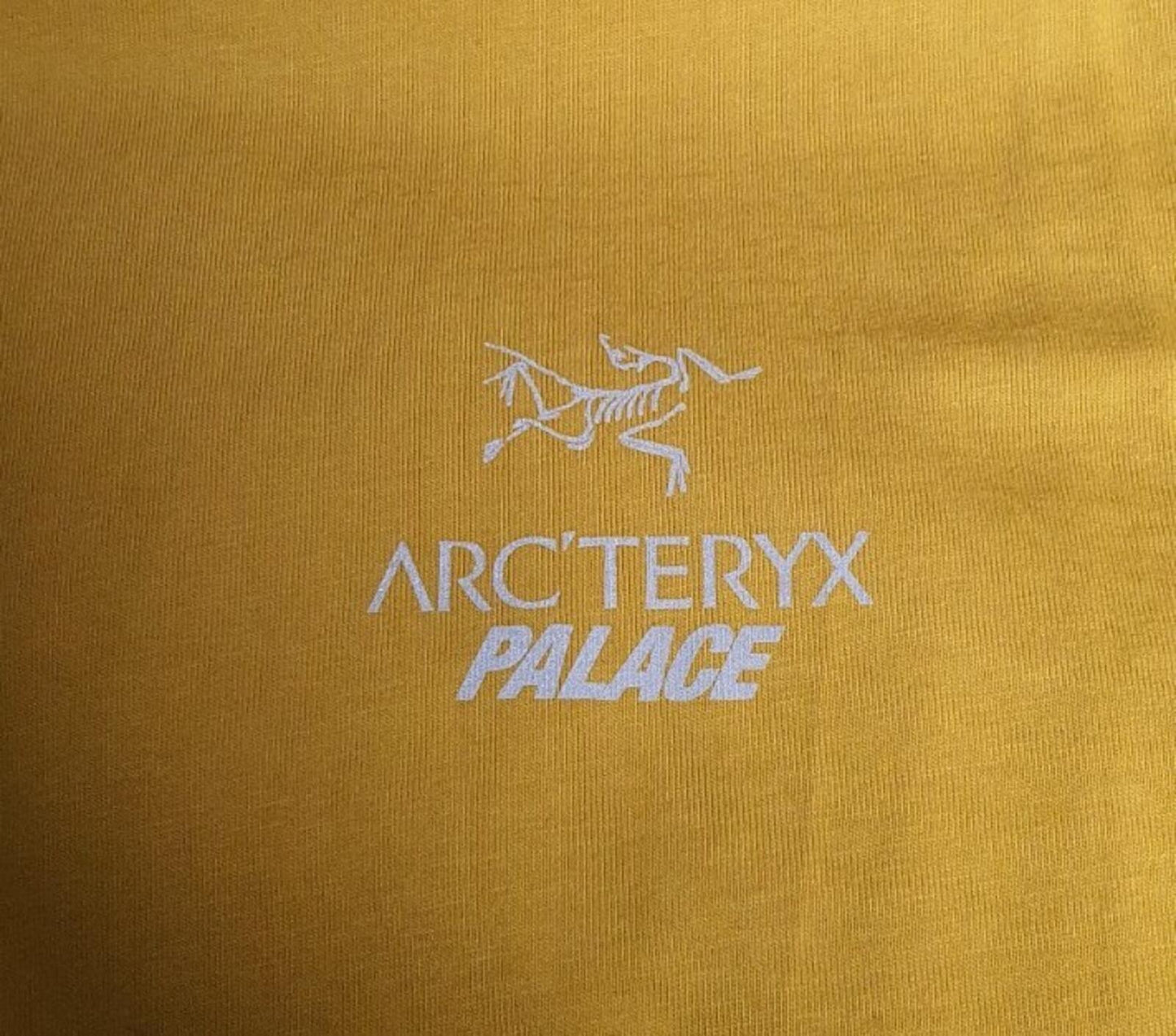 FW20 Palace x Arc'teryx tee size S small gold T-shirt reflective triferg yellow