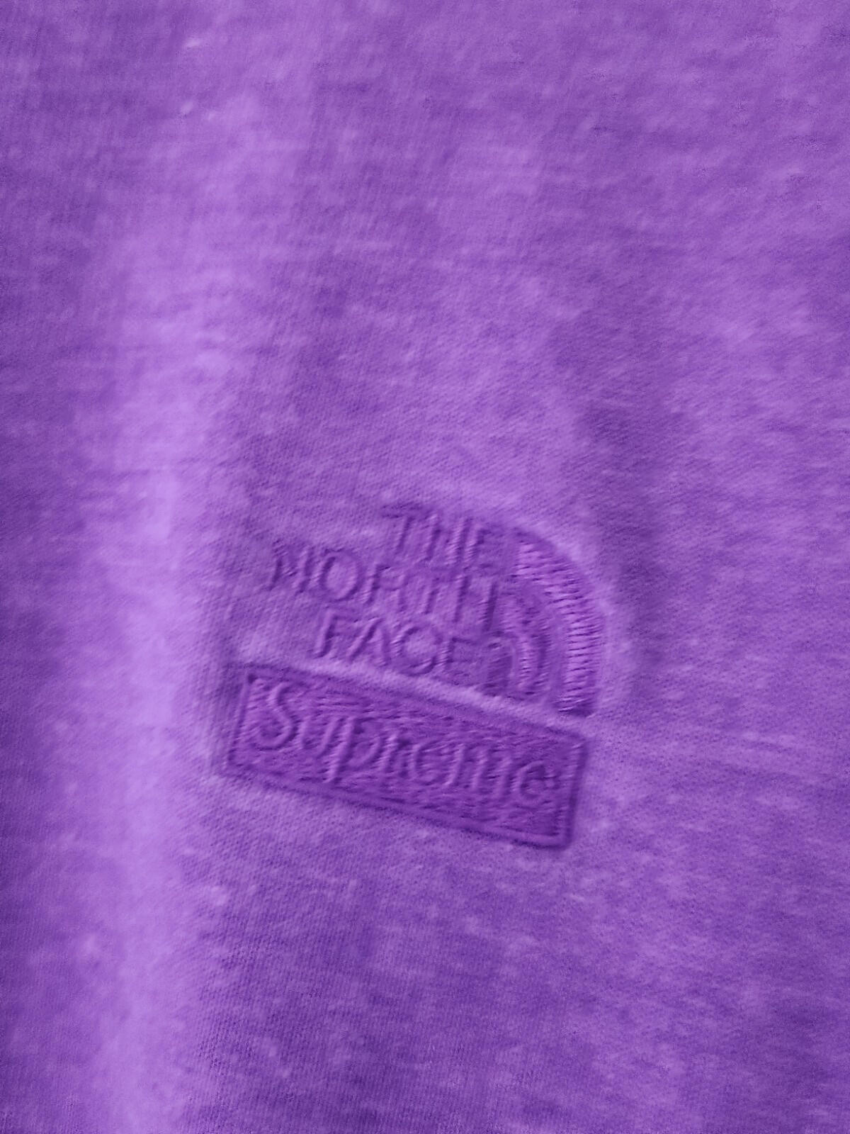 FW22 Supreme x The North Face Pigment Printed L/S Top Large L T-Shirt TNF
