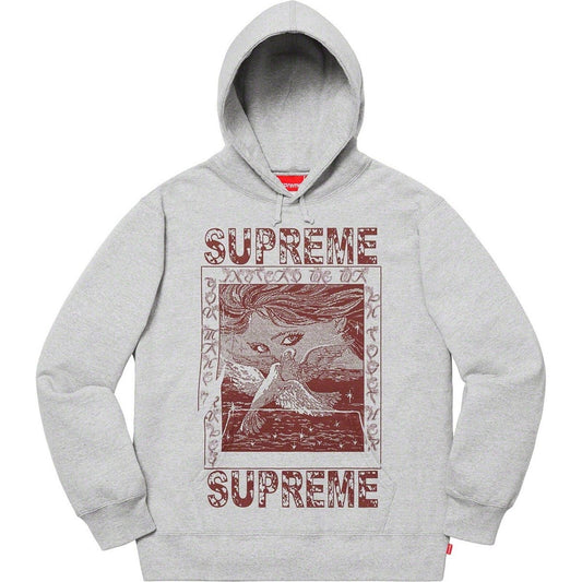 FW19 Supreme Doves Hooded Sweatshirt Size M Medium Heather Grey Hoodie