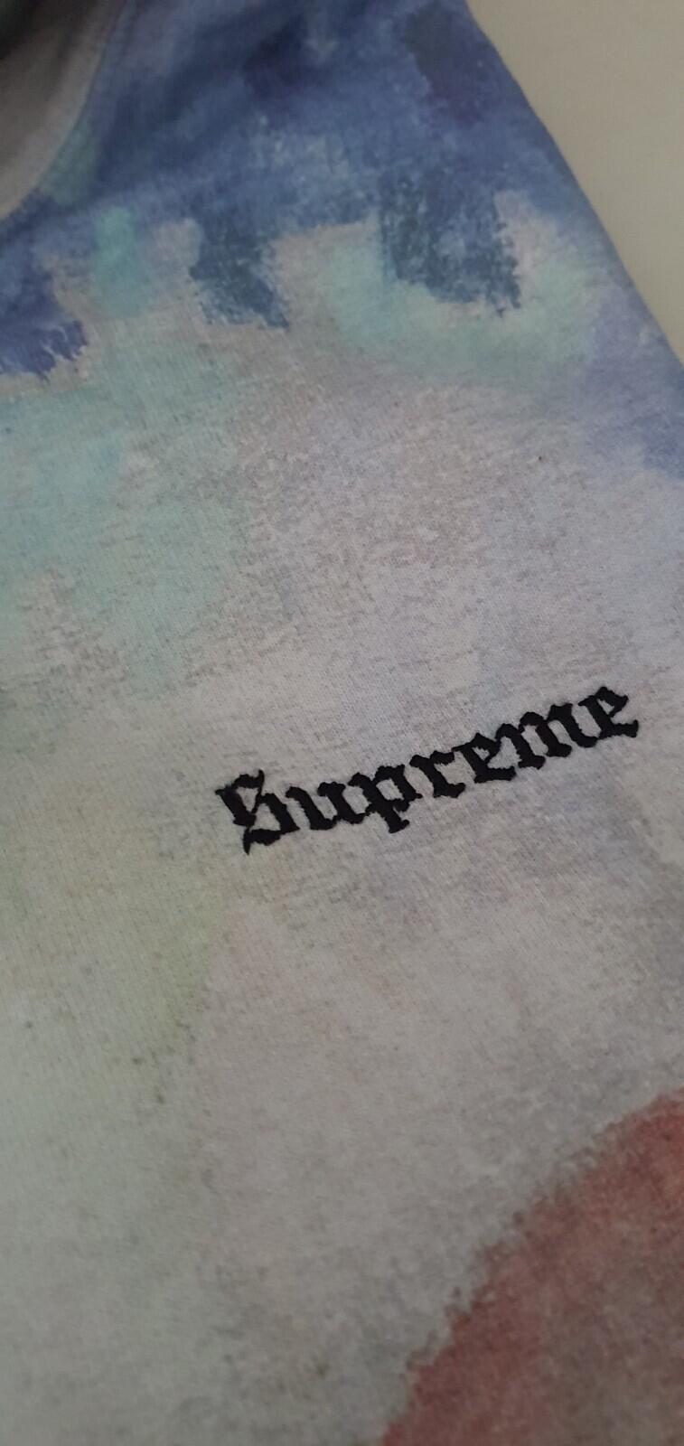 Sudadera con capucha Supreme Landscape SS18, talla M
