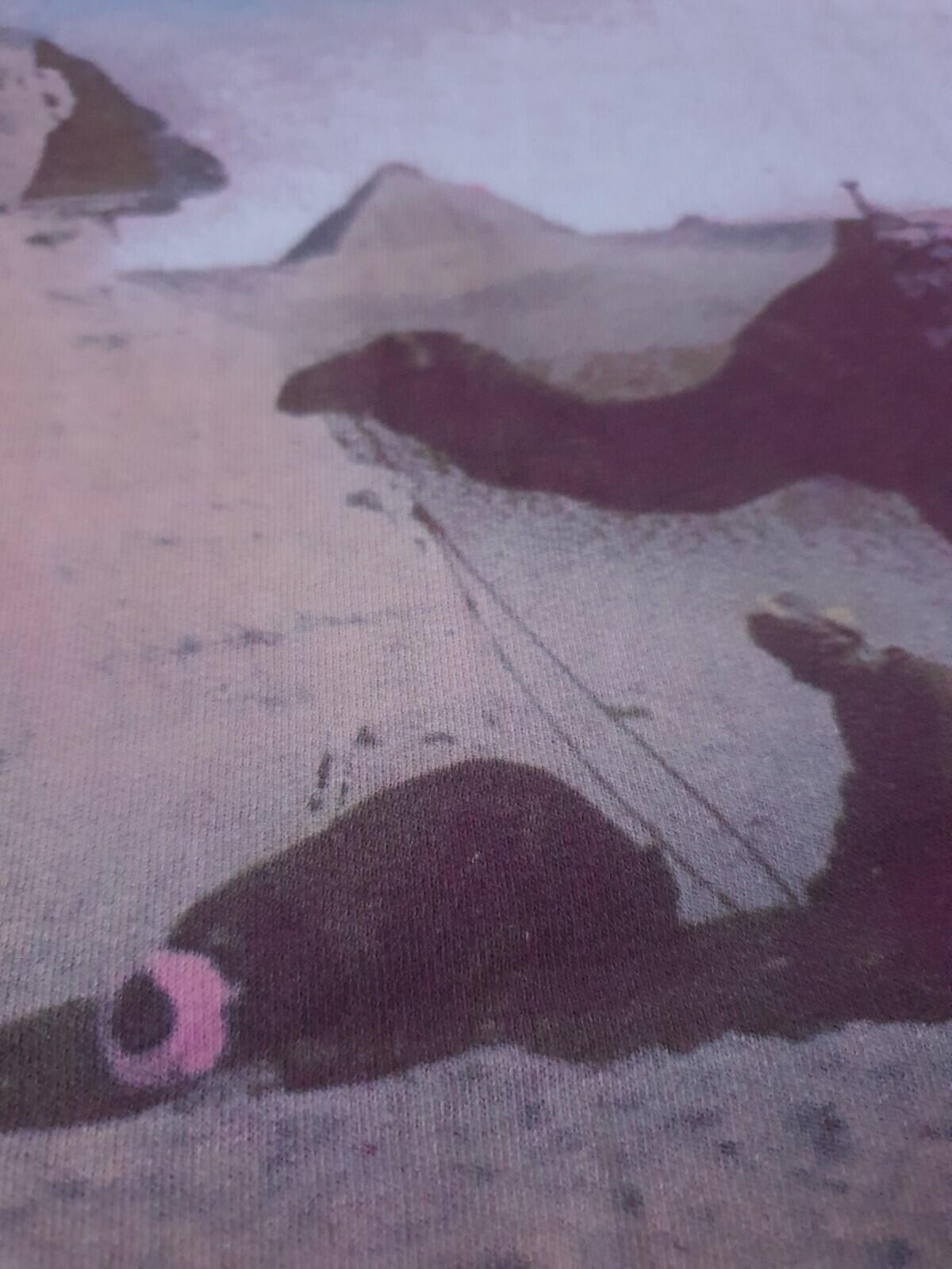 SS12 Supreme Giza Tee magenta medium M Pink t-shirt vintage 2012 Pyramid Sphinx