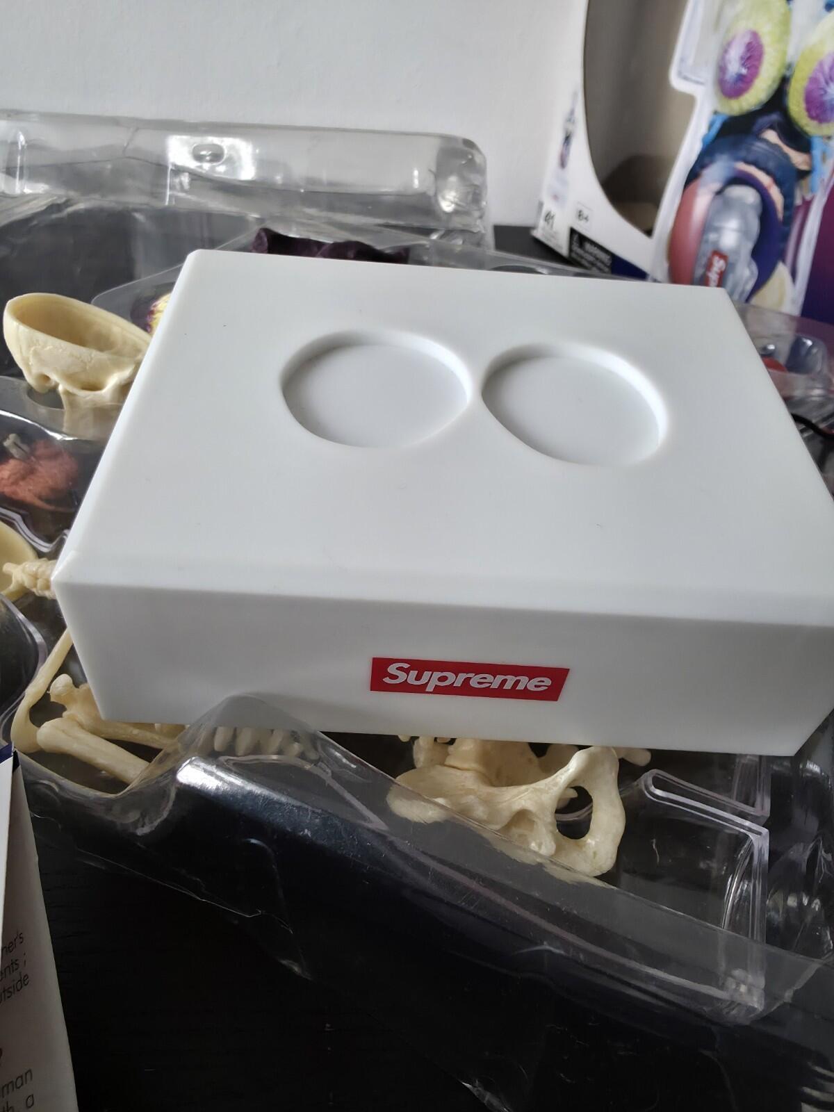 FW18 Supreme Female Anatomy Model Accessory