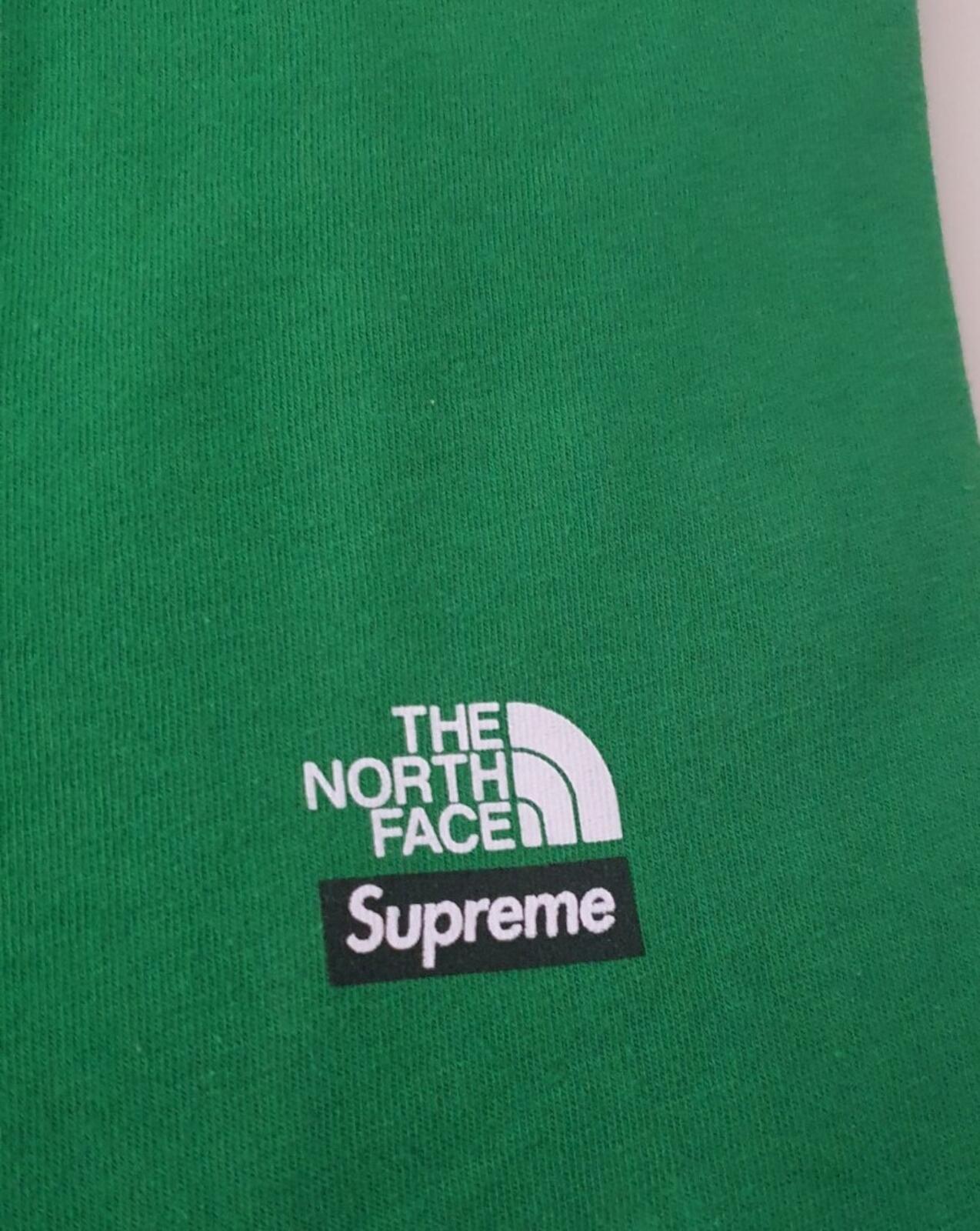 FW21 Supreme x The North Face Mountains tee green t-shirt TNF