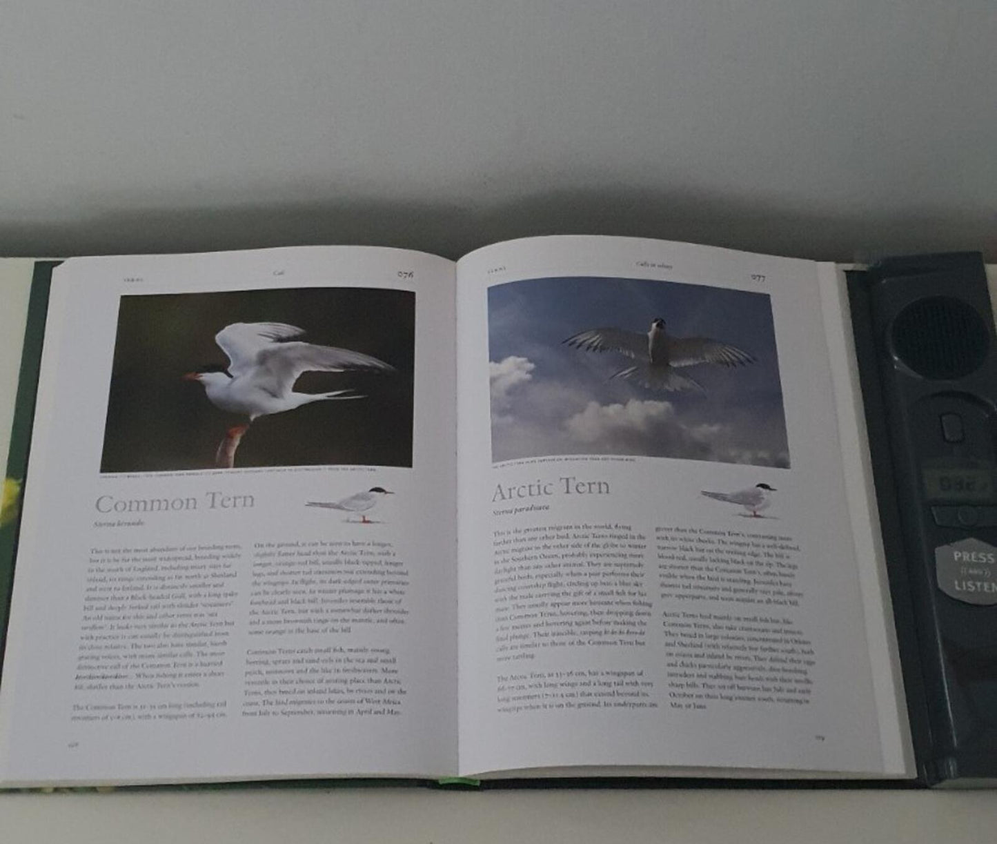 Birdsong: 150 British and Irish birds and their amazing sounds Book